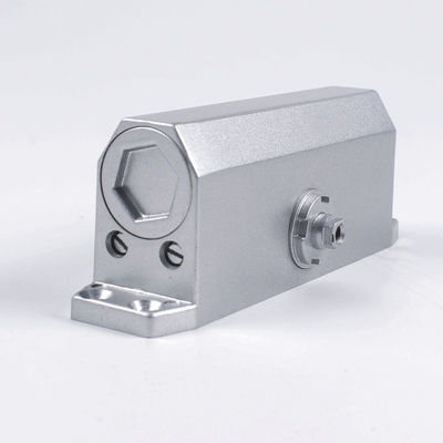 Cerradura de puerta de fuego de brazo deslizante para cerradura Peso de la puerta máxima 65-85kg Finish Spray-Paint Silver